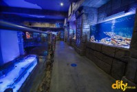 ���� ��� ������ "ĳ��"