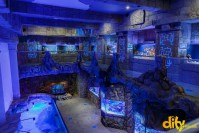 ���� ��� ������ "ĳ��"