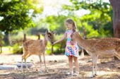 ТОП 10 зоопарків та зоокутків Західної України для сімейних мандрівок